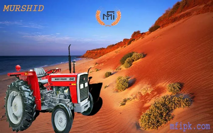 High Performance Massey Ferguson tractor MF 240 2WD 50 HP suitable for Tillage and Light Transport for Nigerian Farmers